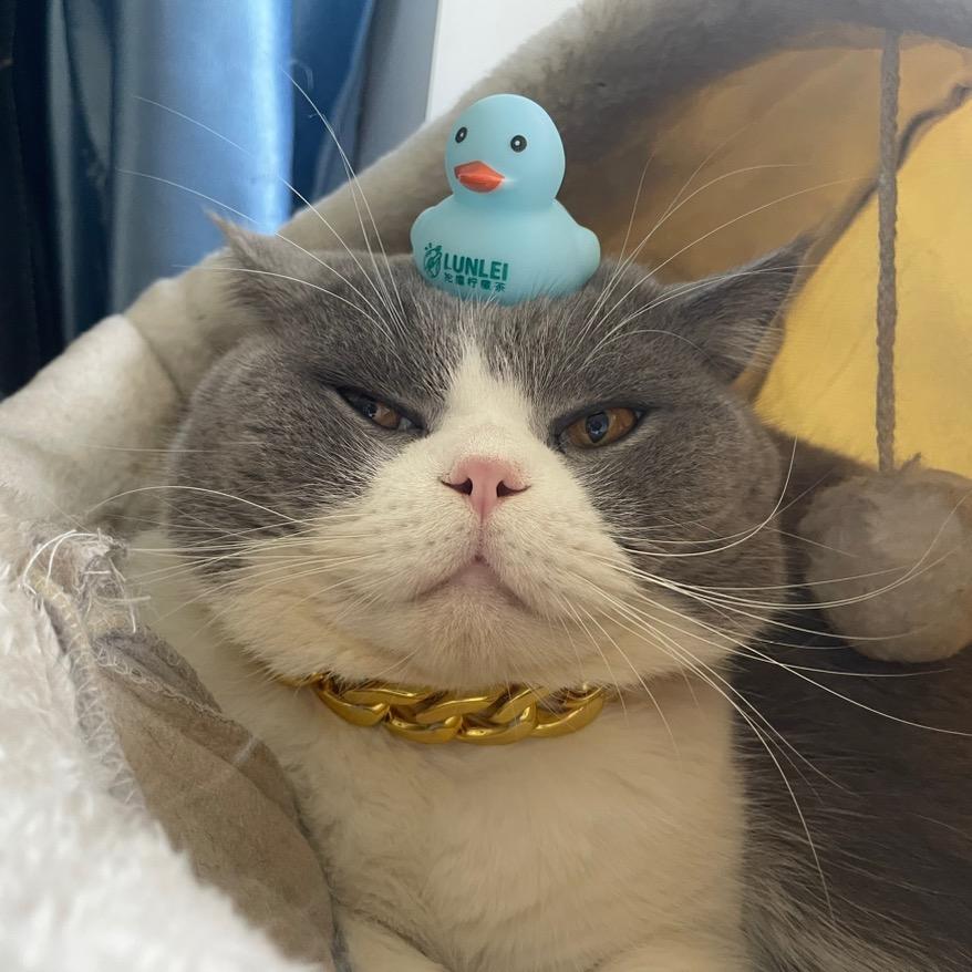 Hang