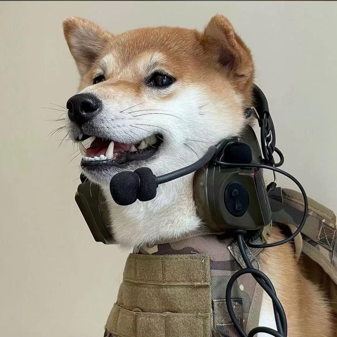憨憨