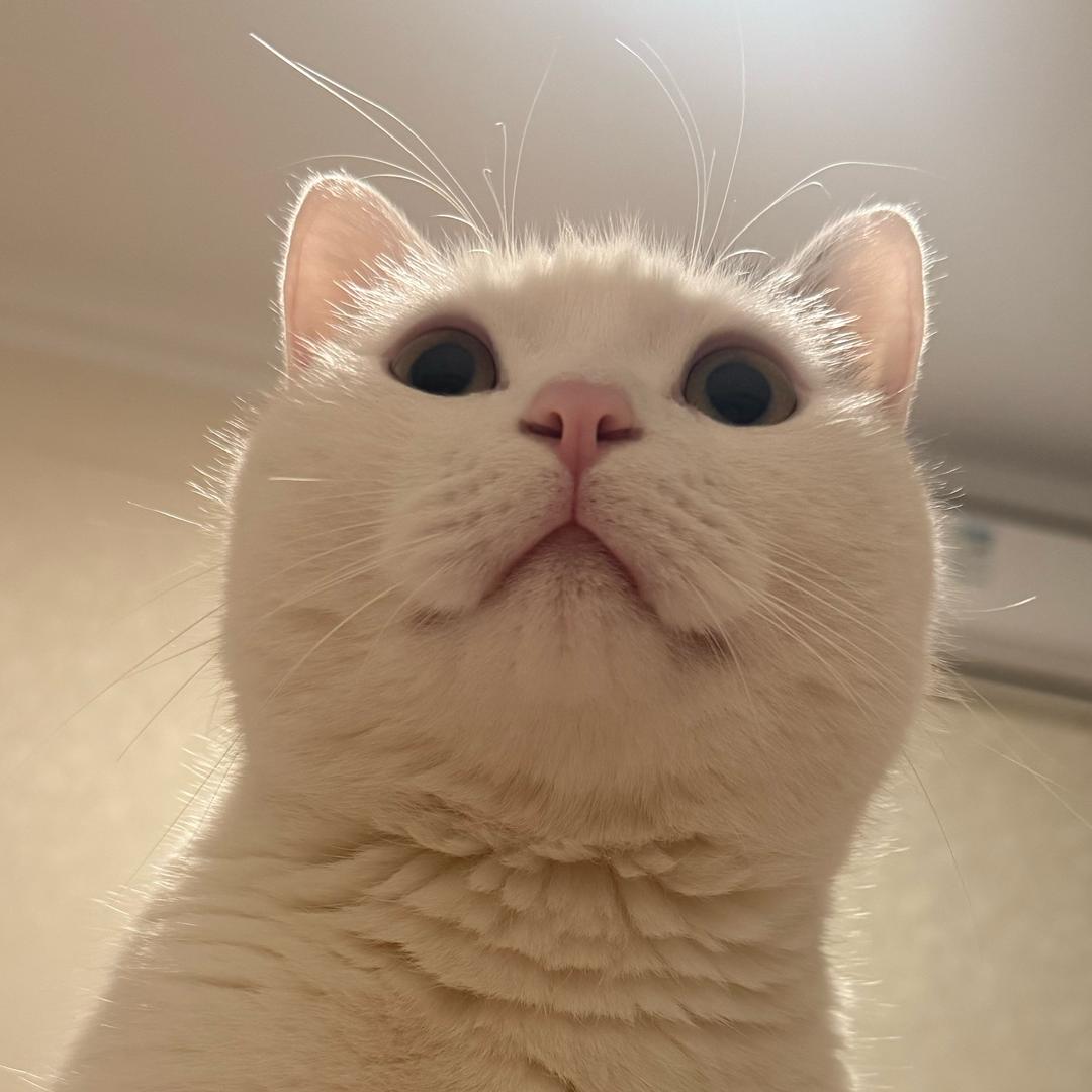 ᐝ