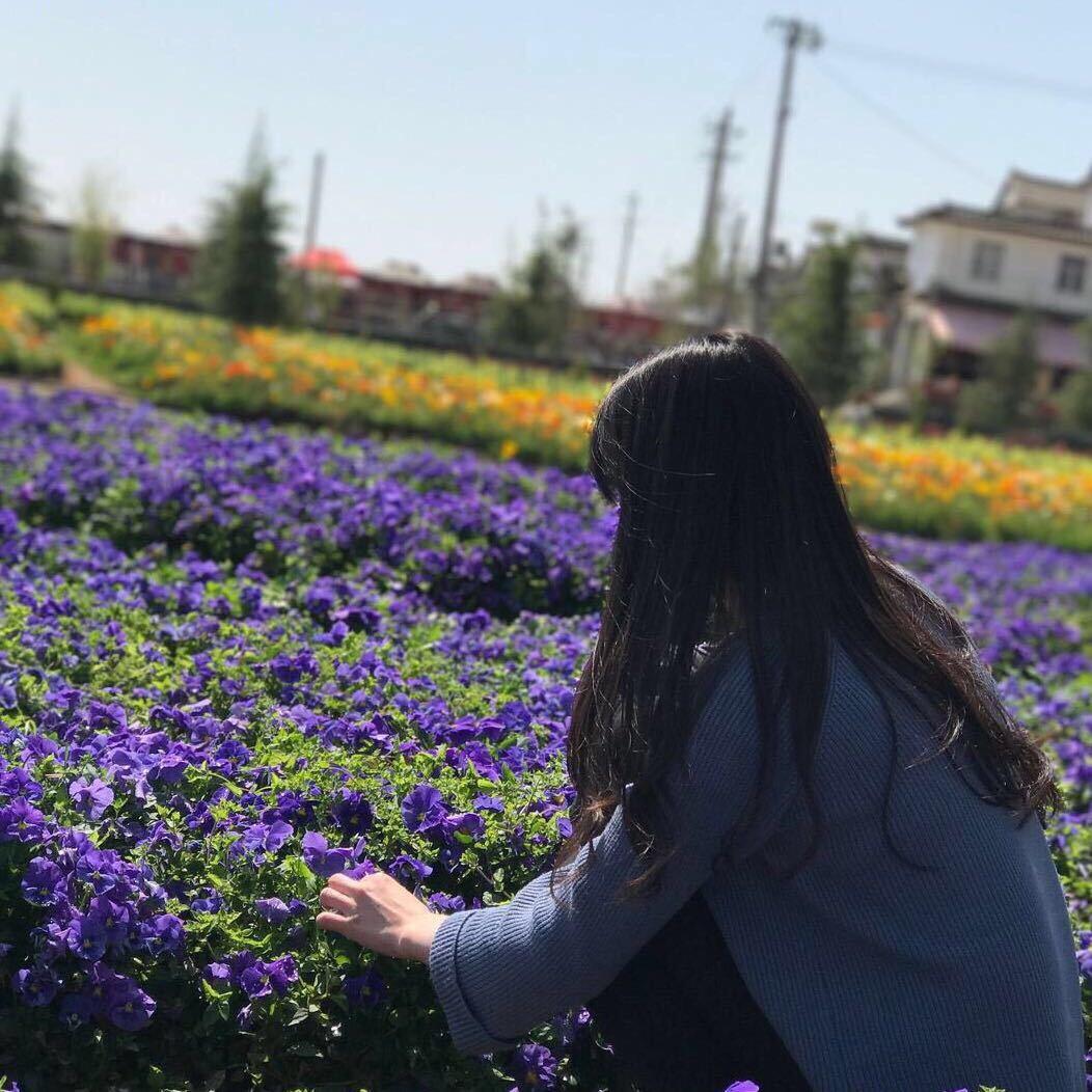 闽南陈阿姨
