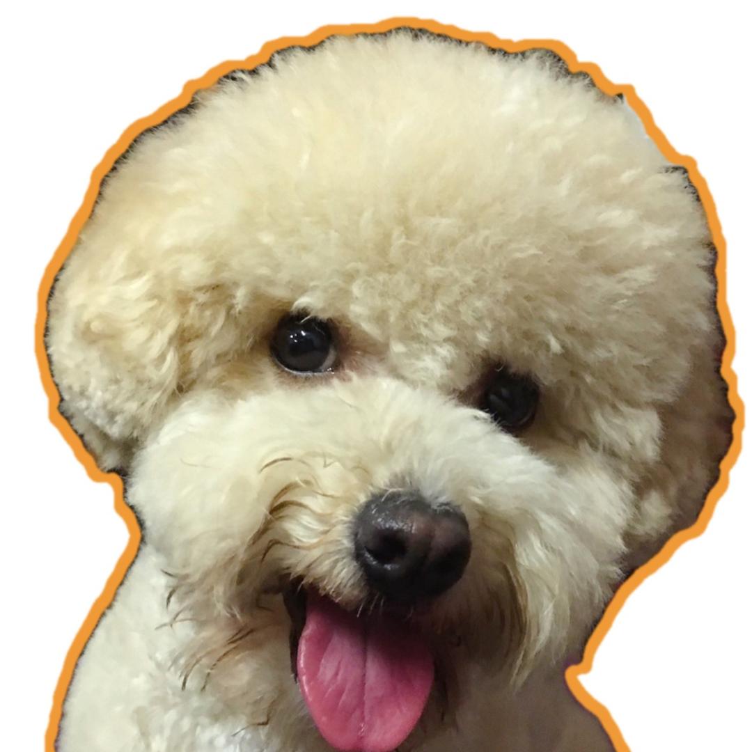 麒琳阿