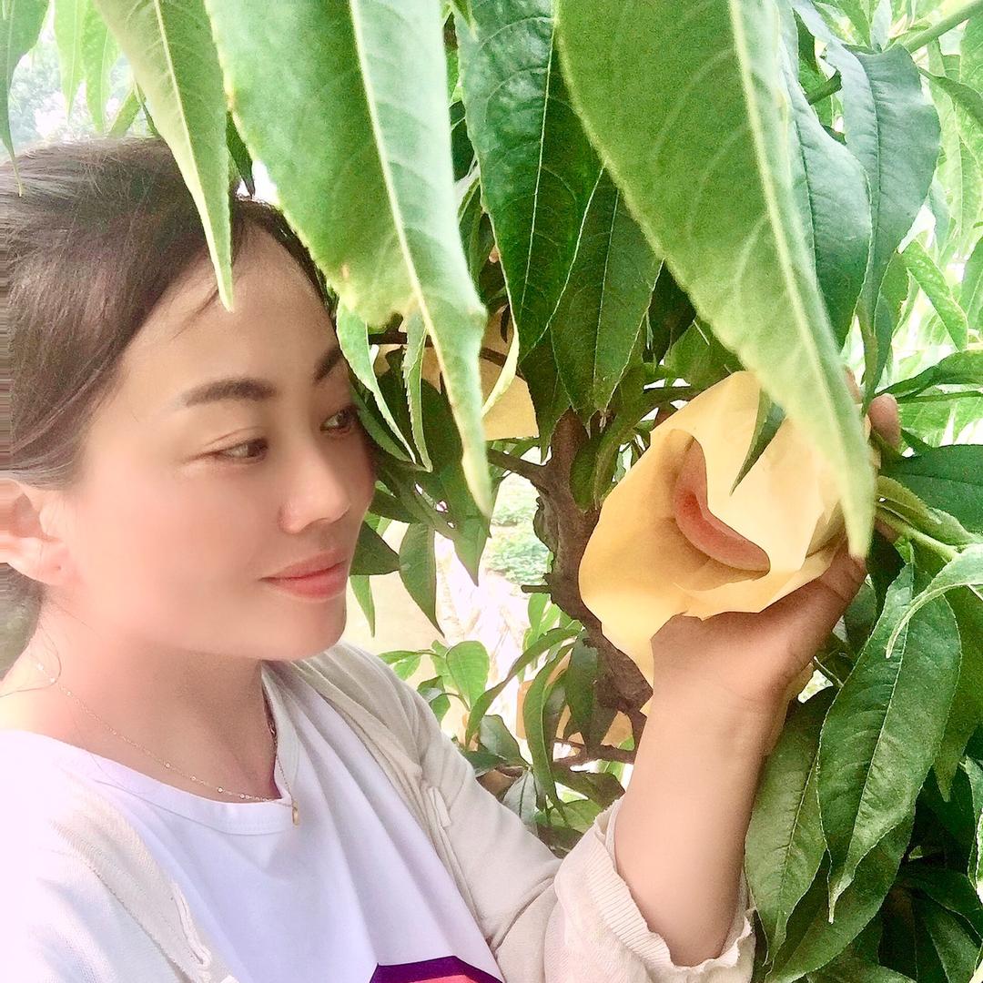 阳山水蜜桃（黑姐）