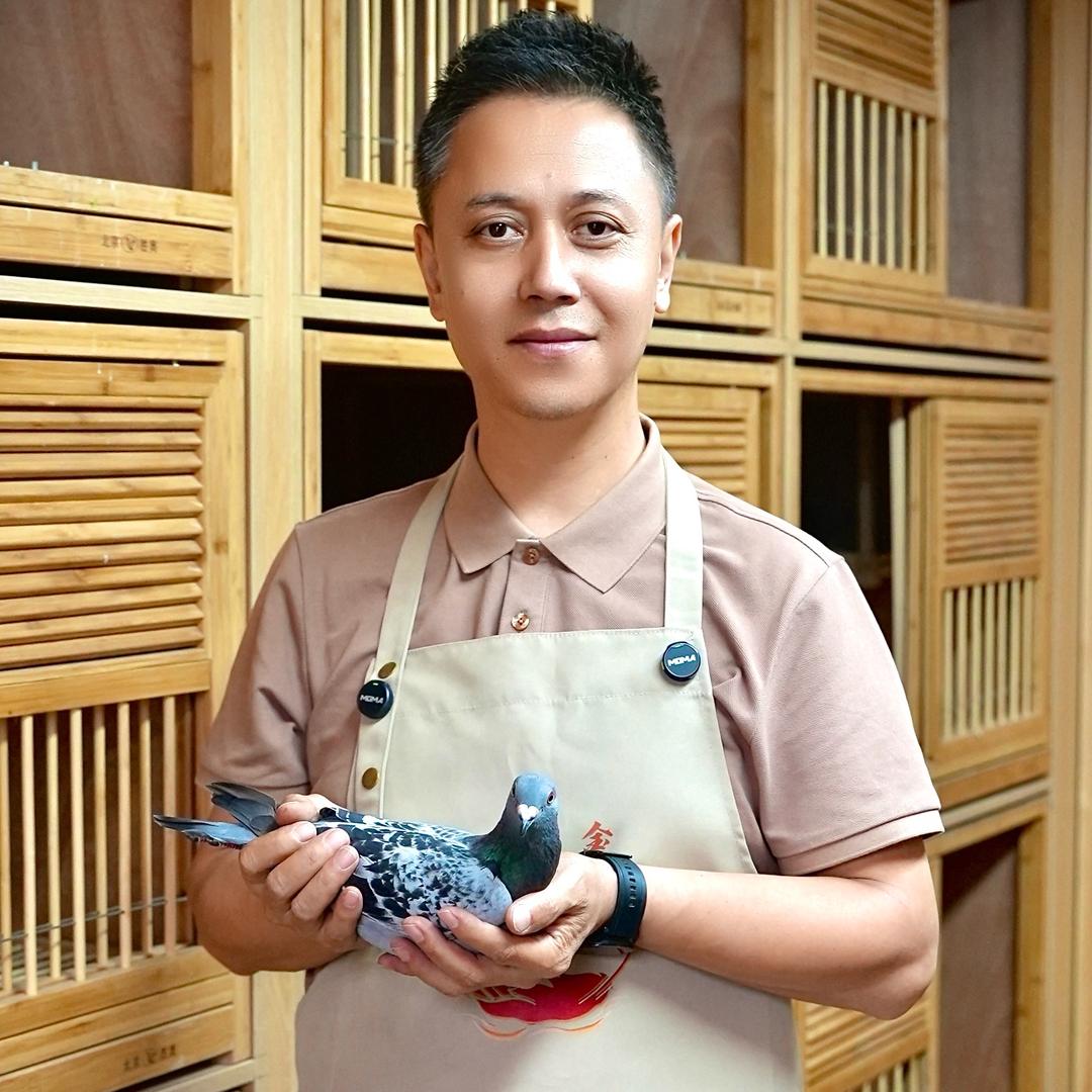 塔老师-养鸽知识