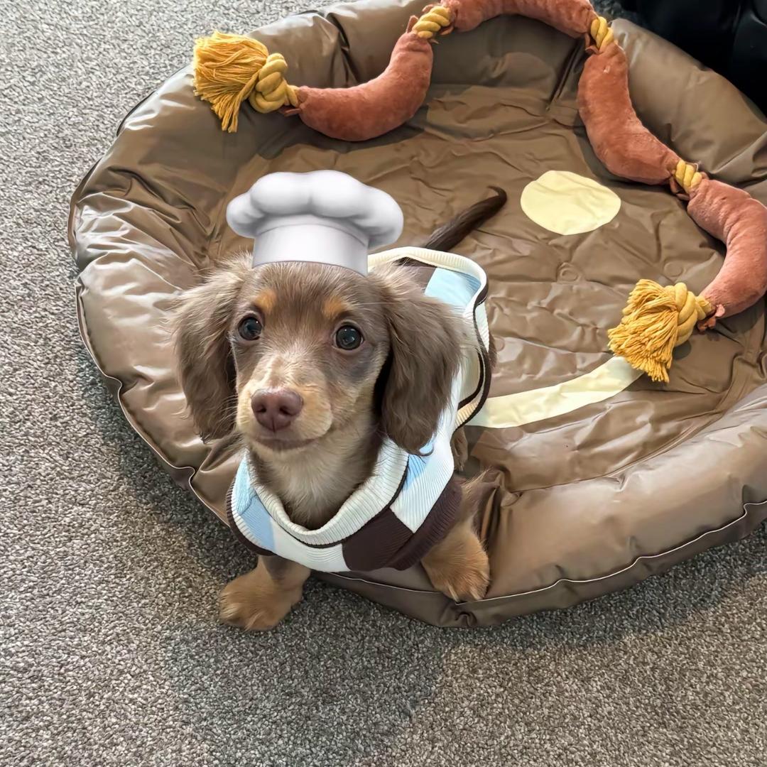 Fuiuedvjkiitddcbkooi