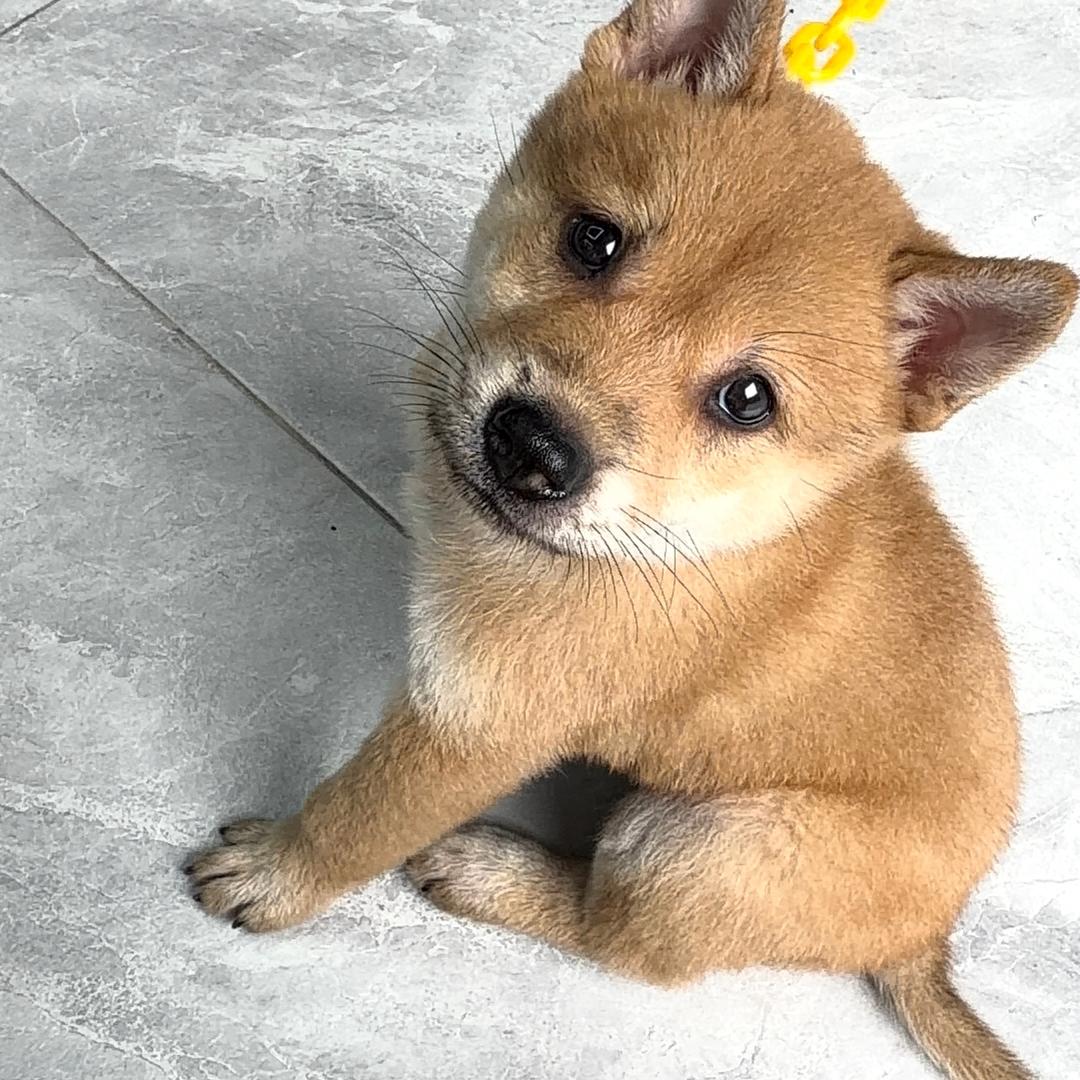 恭喜“发财”