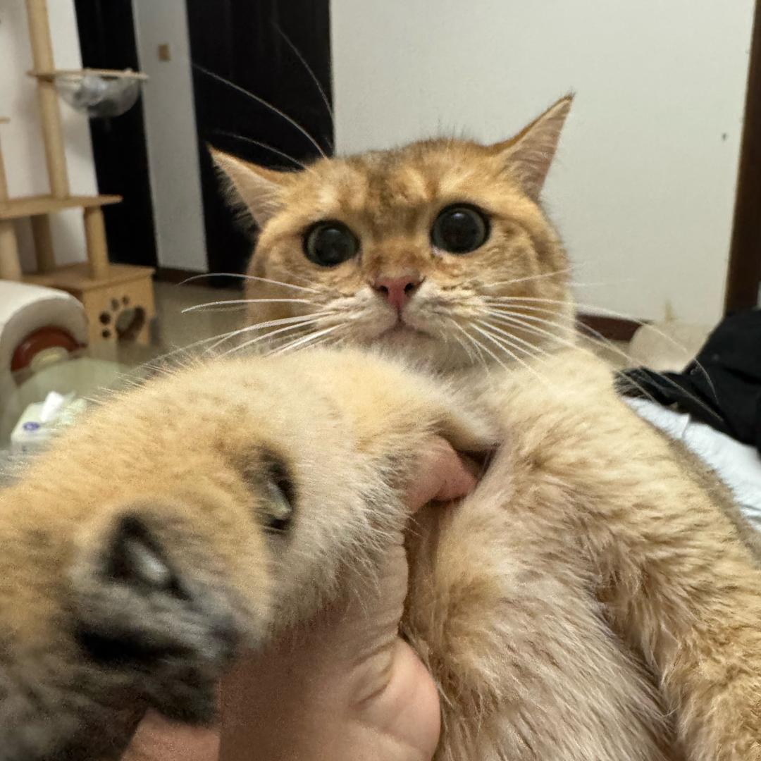 我吃饭的时候不饿