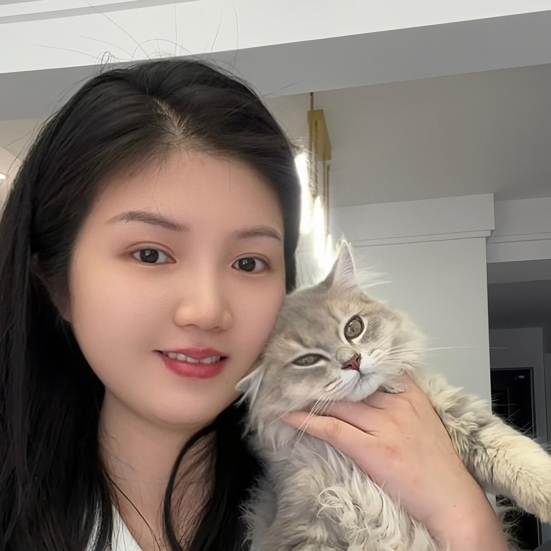 猫奴十一