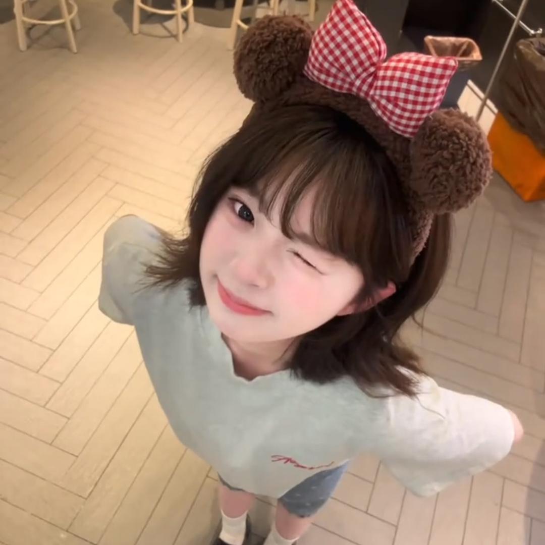 雾桉