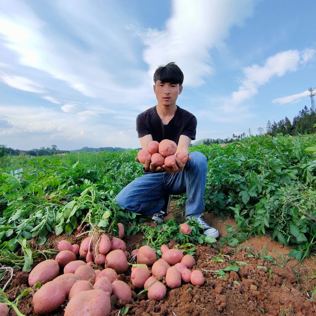 小禾鲜生