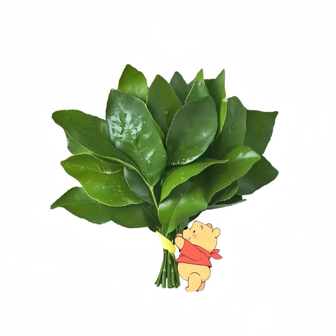 小七