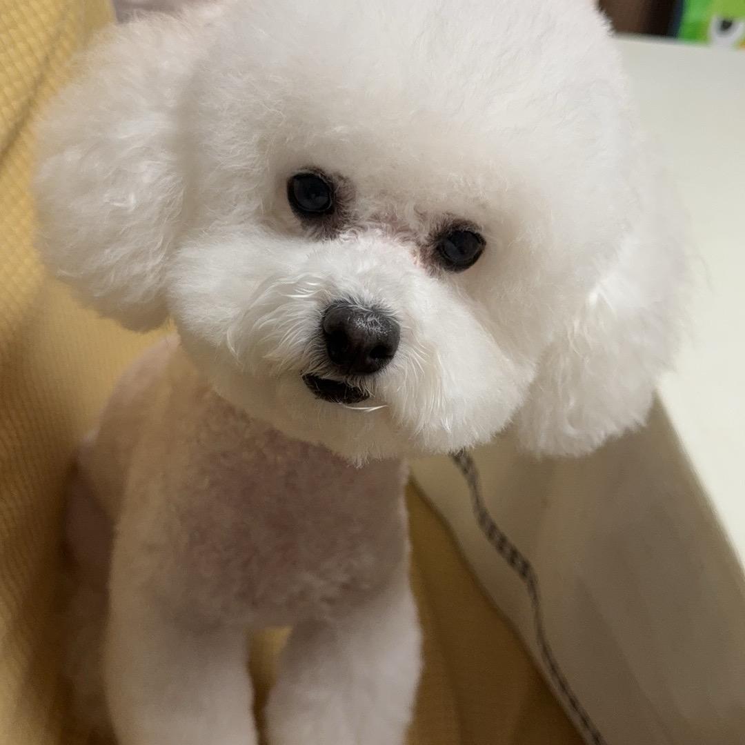 💋💫ღ🐏朵朵໌ᮨ້࿐💋