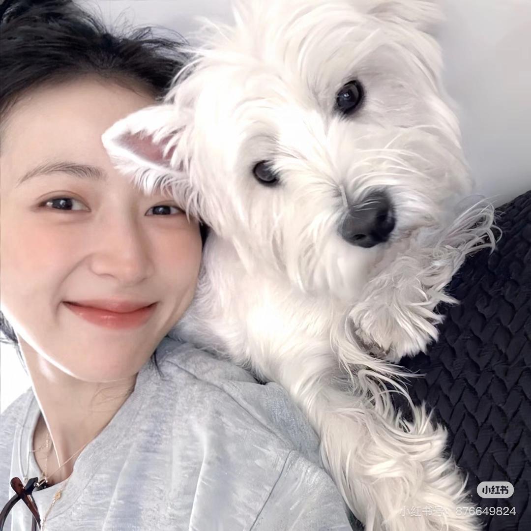 小邹菊🍃（干饭版