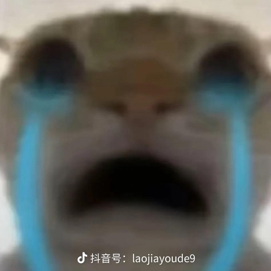 枫叶🍁（三角洲跑刀）