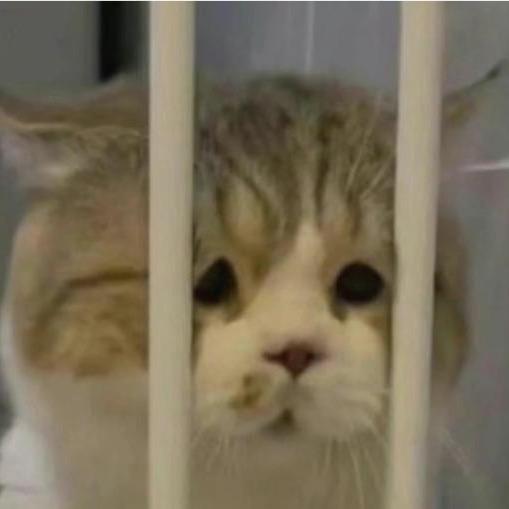 NEL-KO（三角洲主页陪🥣）