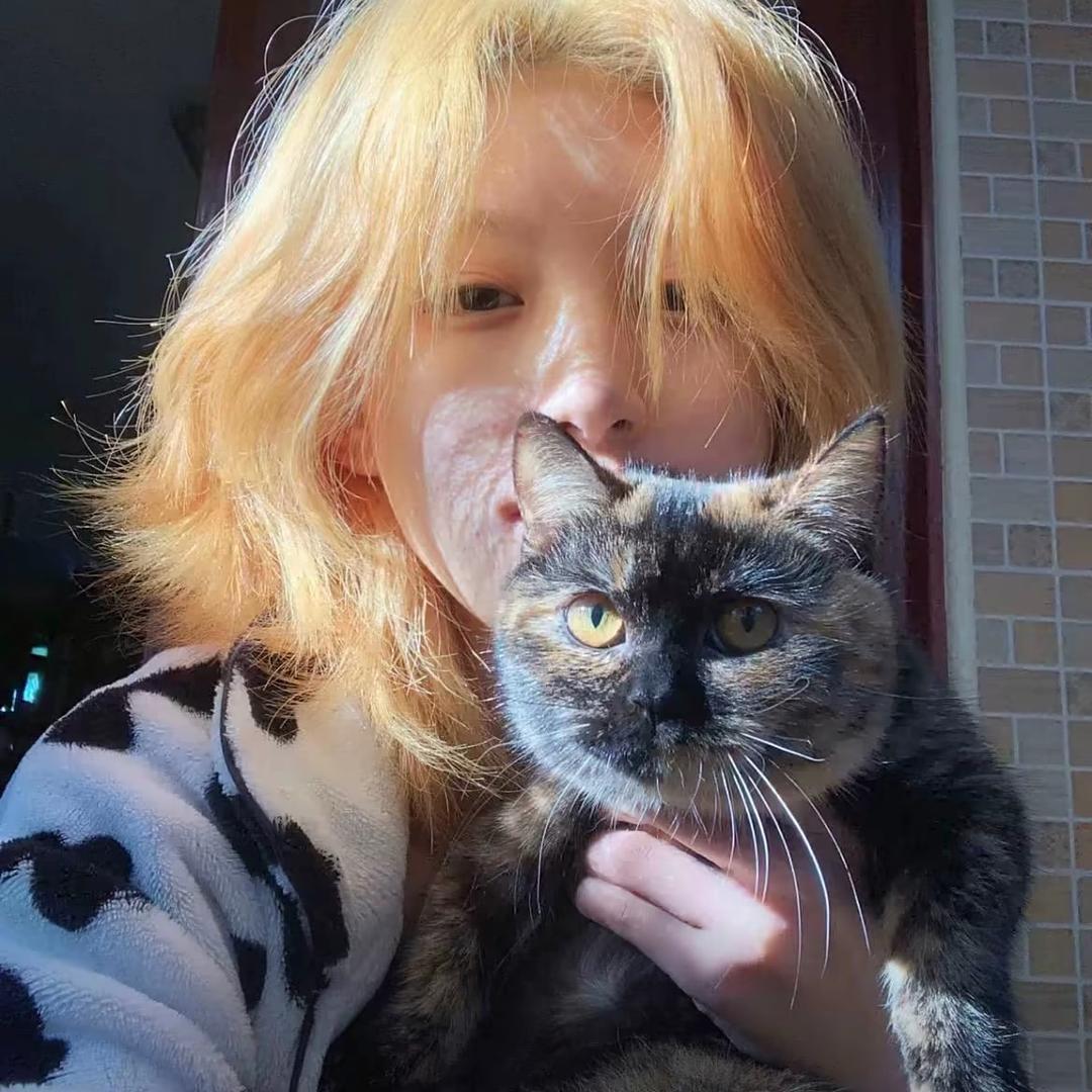 秋