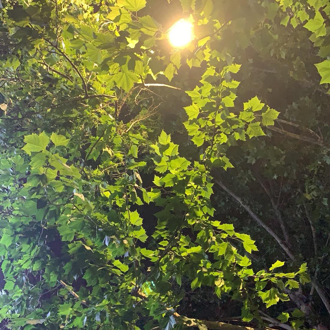 刚哥说酒
