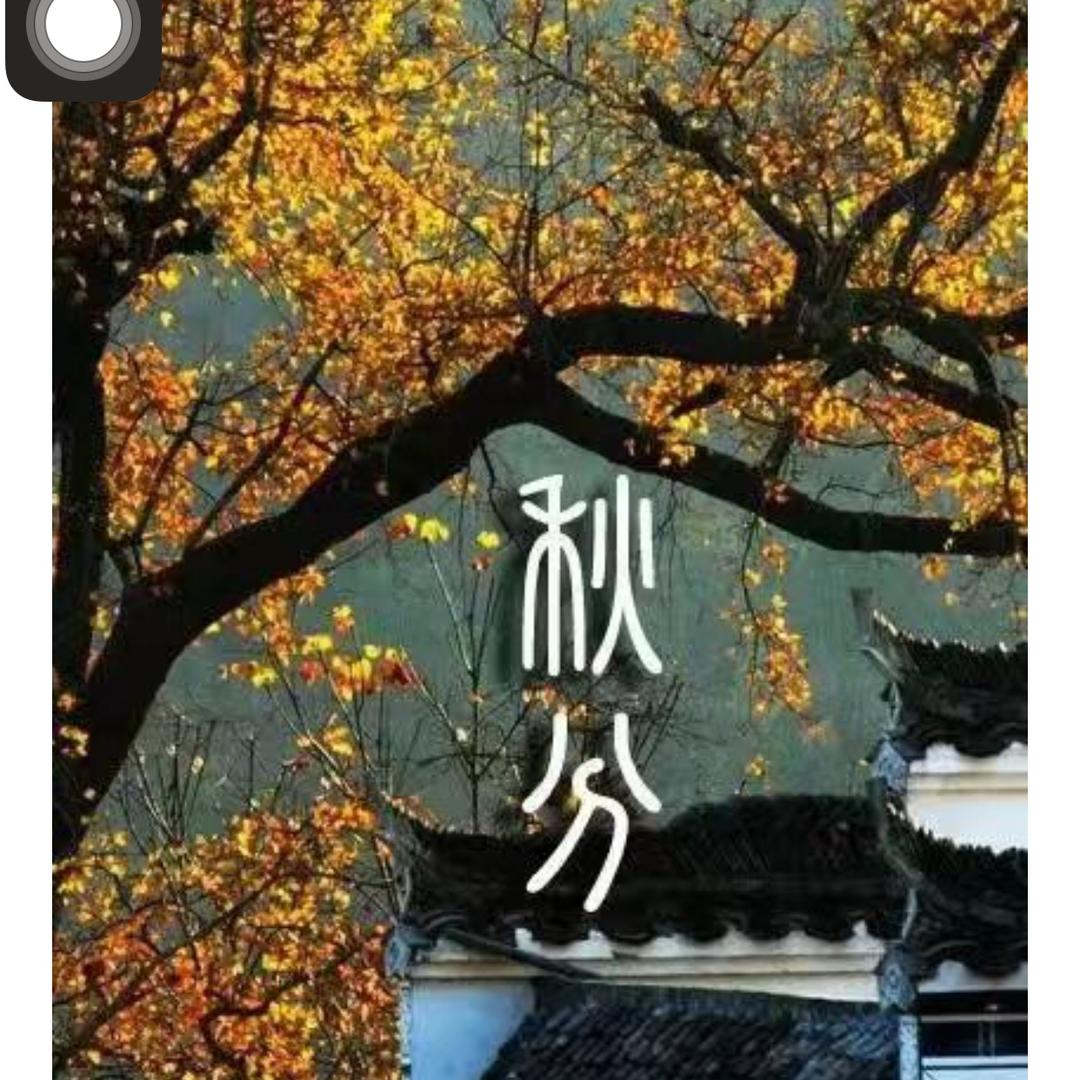 烨慧