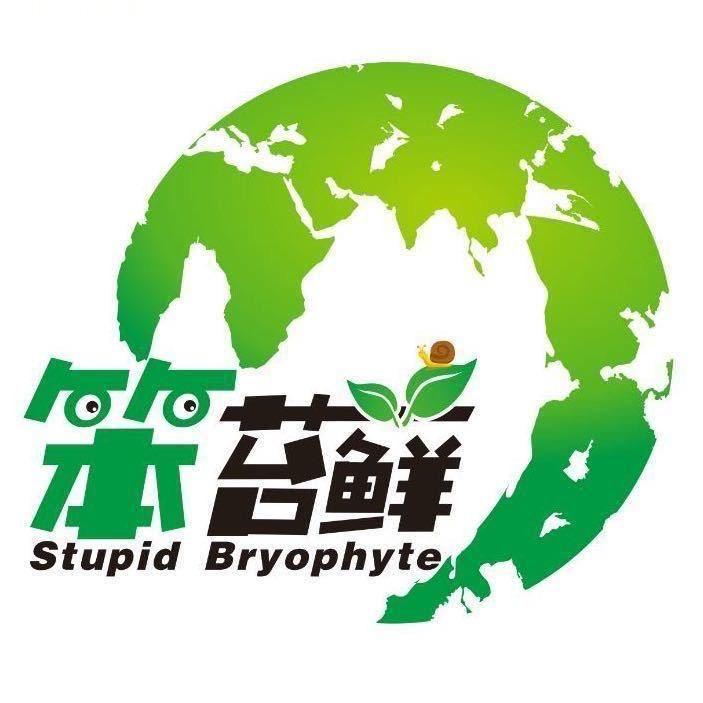 笨苔藓 B T X
