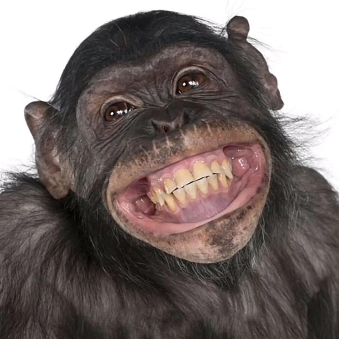 俏丽后妈丧偶后带着7个孩子为爱嫁给老登