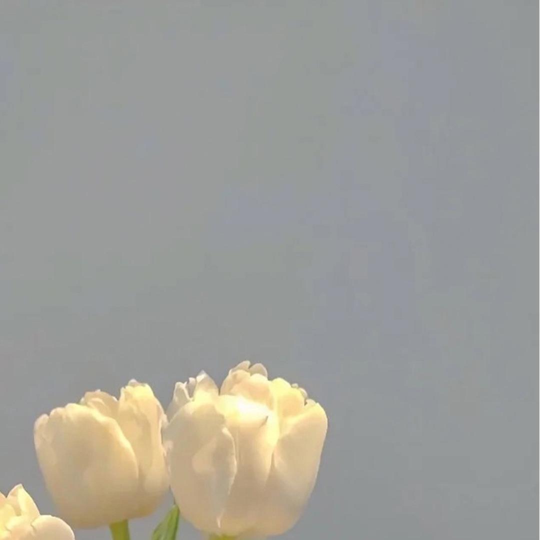 田田甜