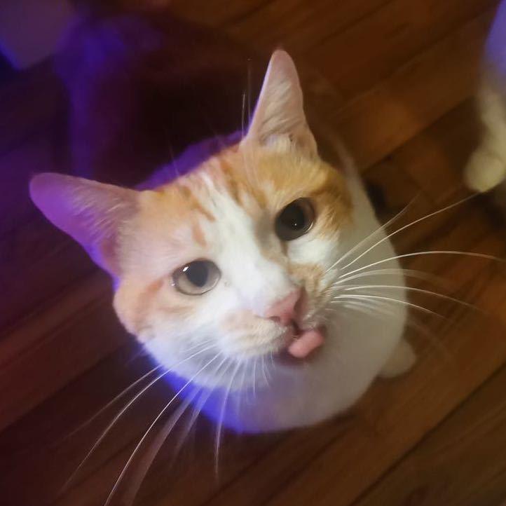 ben