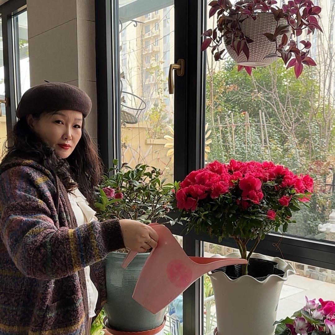 慧妈