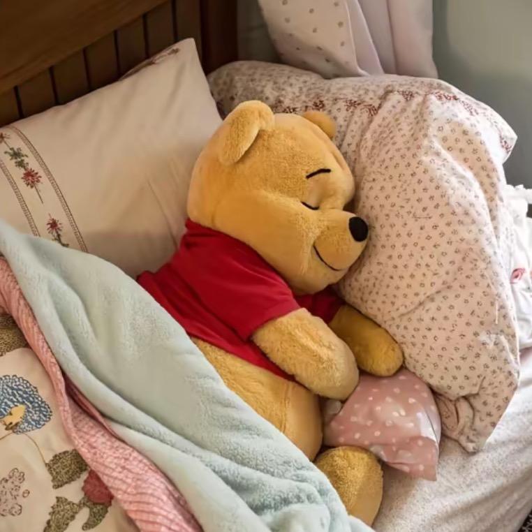 早睡早起💤
