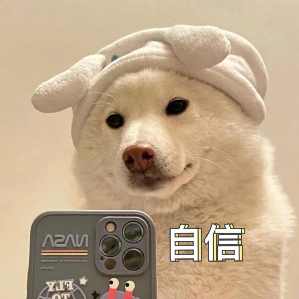 -光伏销售Tan-