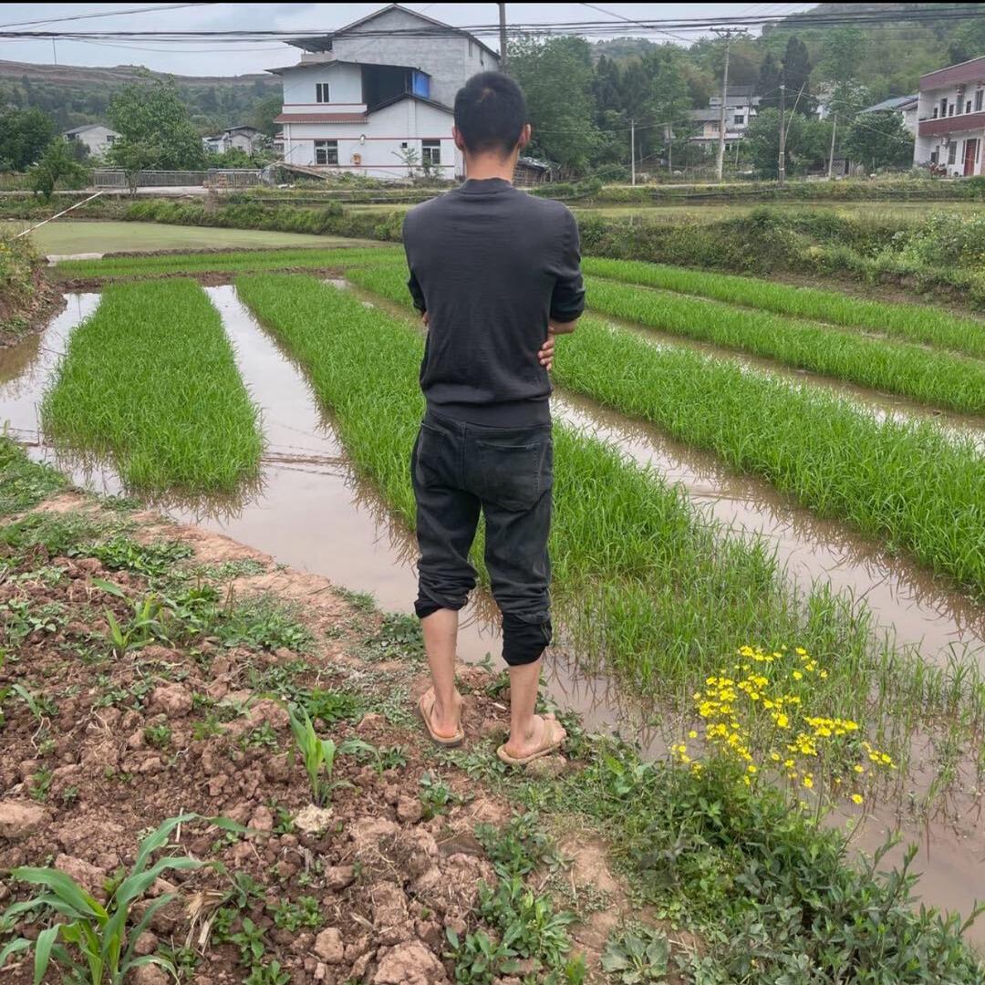 农村人