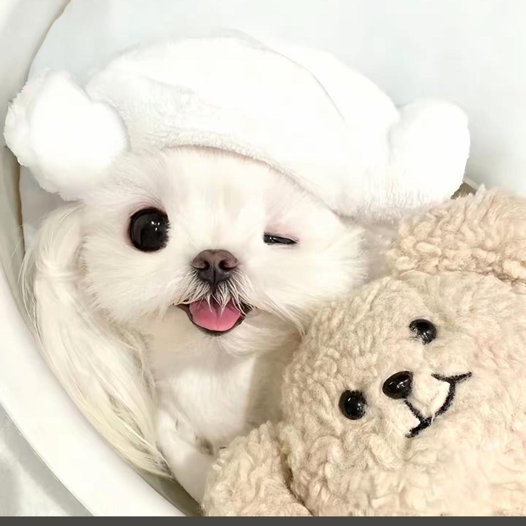 安安·