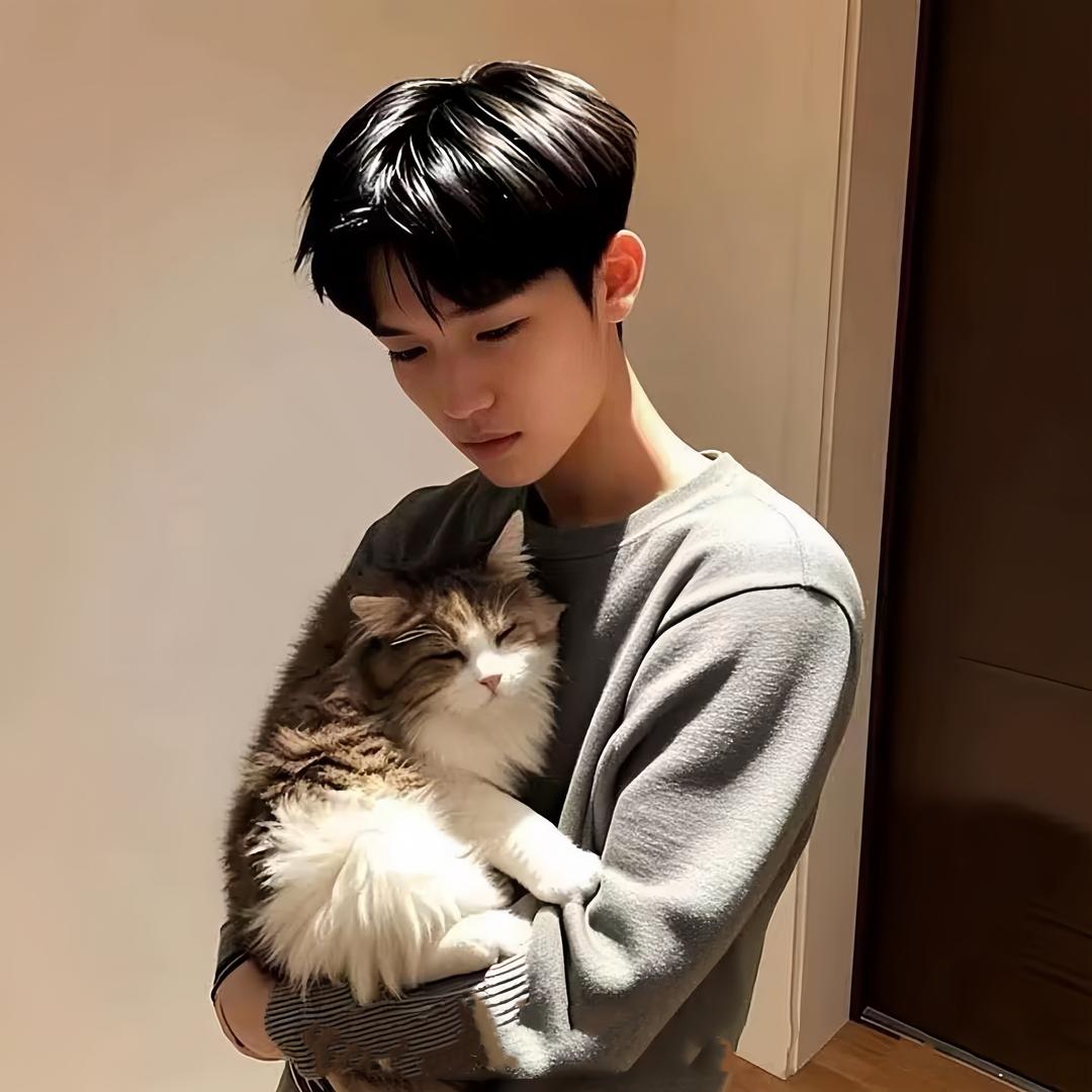 陈 昊