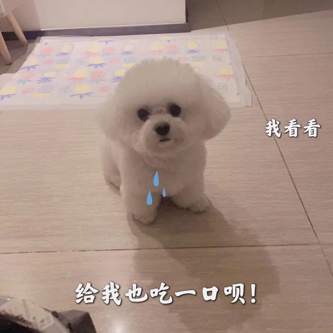 Mr周先森