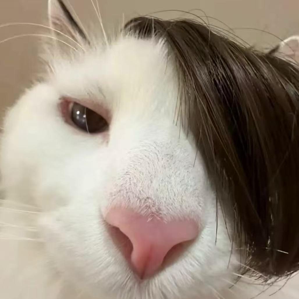 金木Y