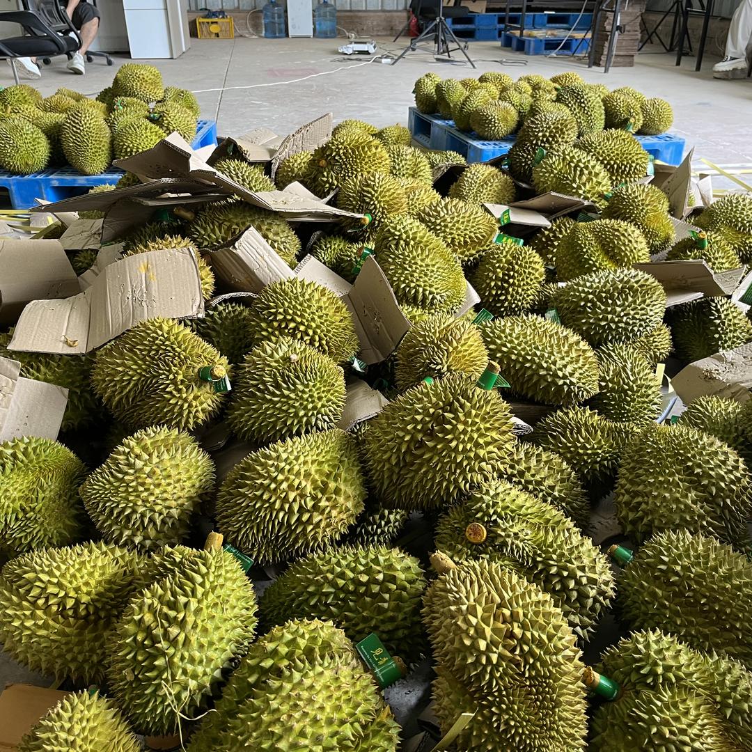 雀森品专卖店