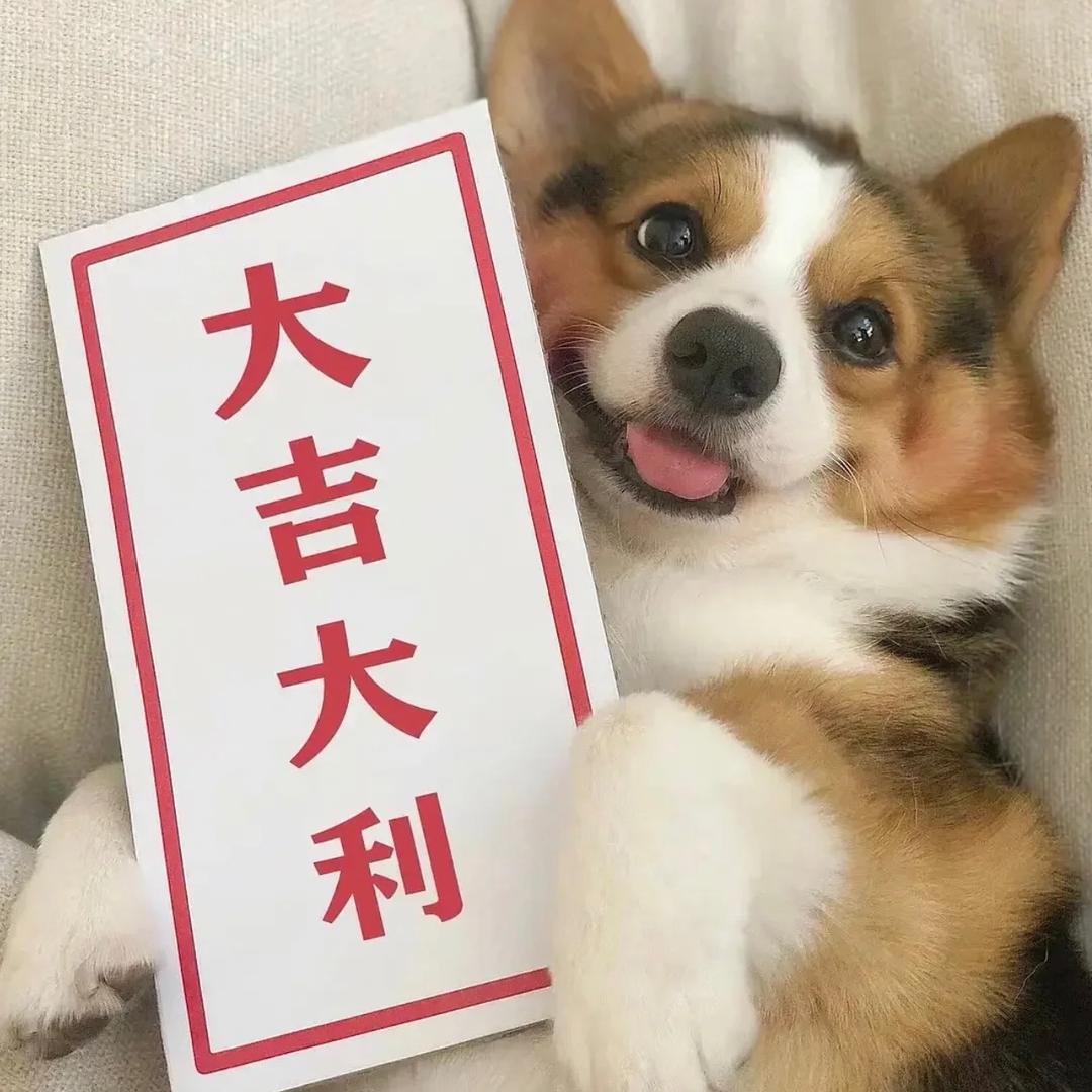 今日幸运