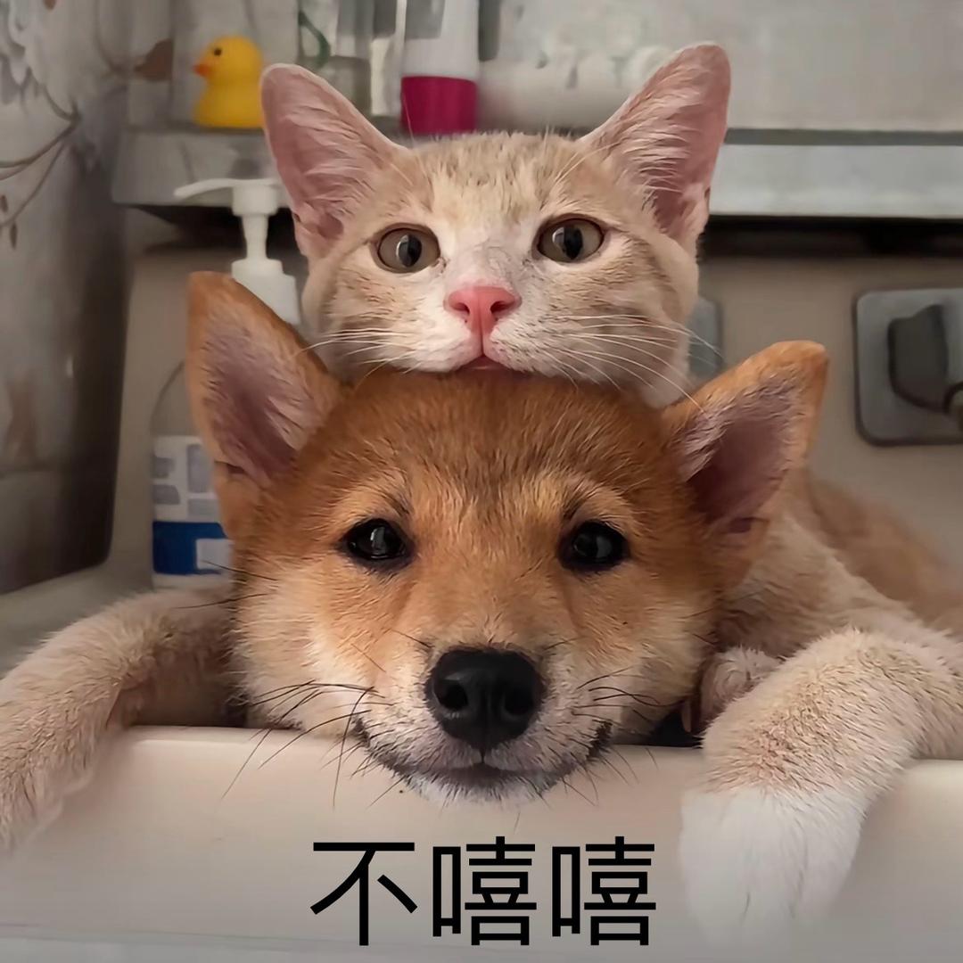 千千千寻