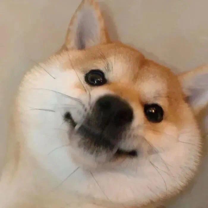 咸鱼小饼干_