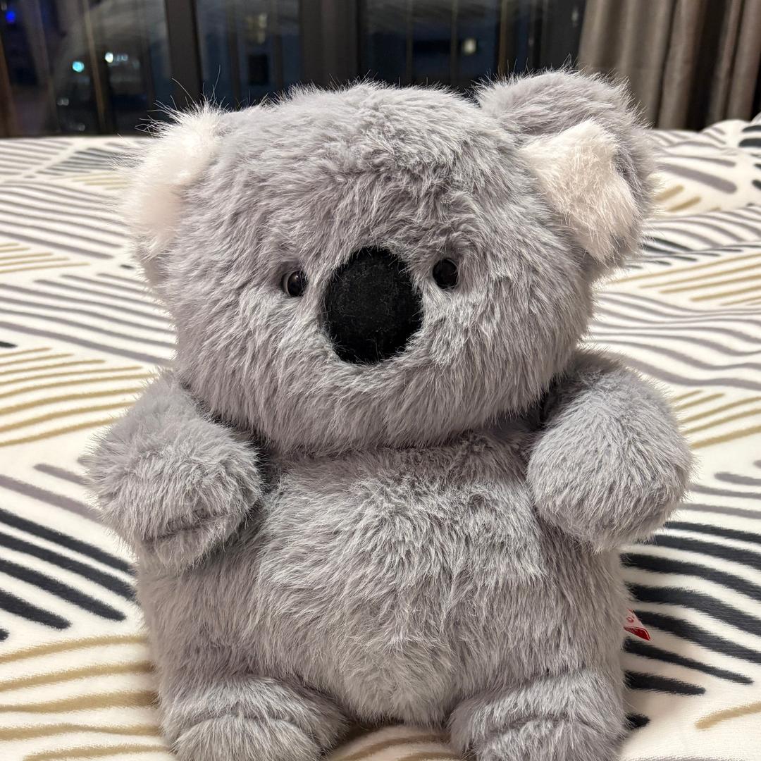 萨摩偷偷耶～🐨