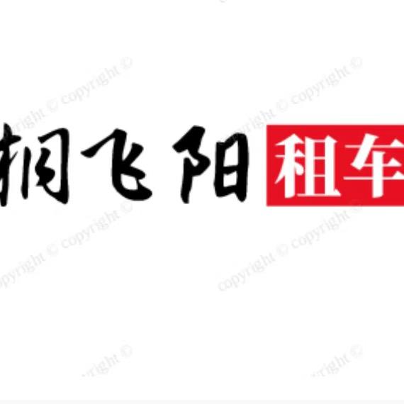 宁波桐飞阳租车