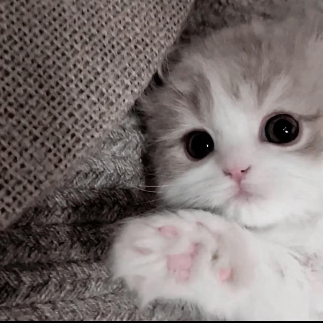 要不还是洗洗睡吧