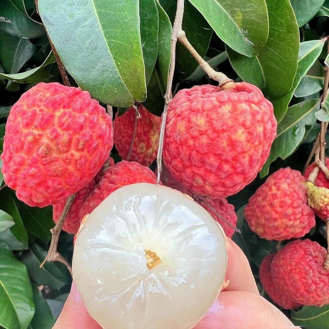 荔粒鲜农品严选店