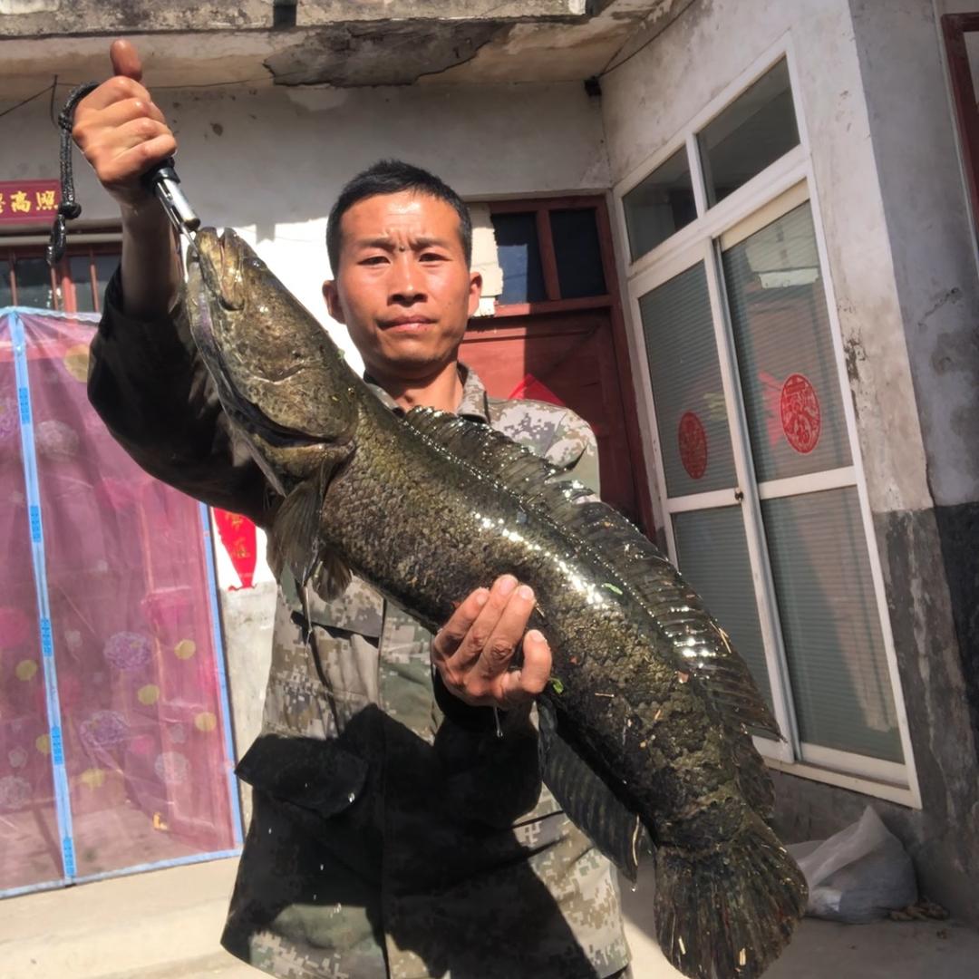 修车❤️审车❤️打黑
