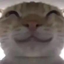 哈吉米