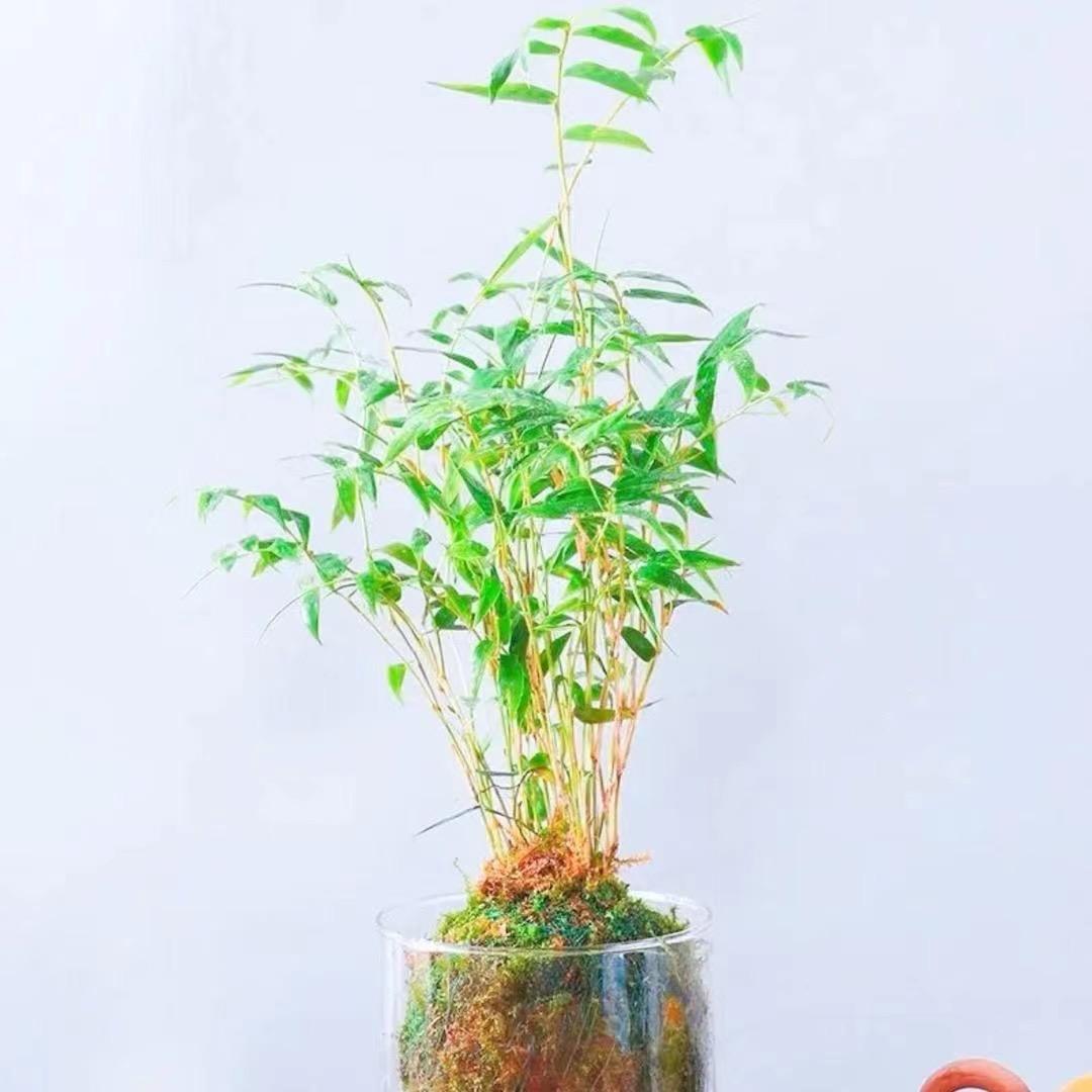 君子优品坊