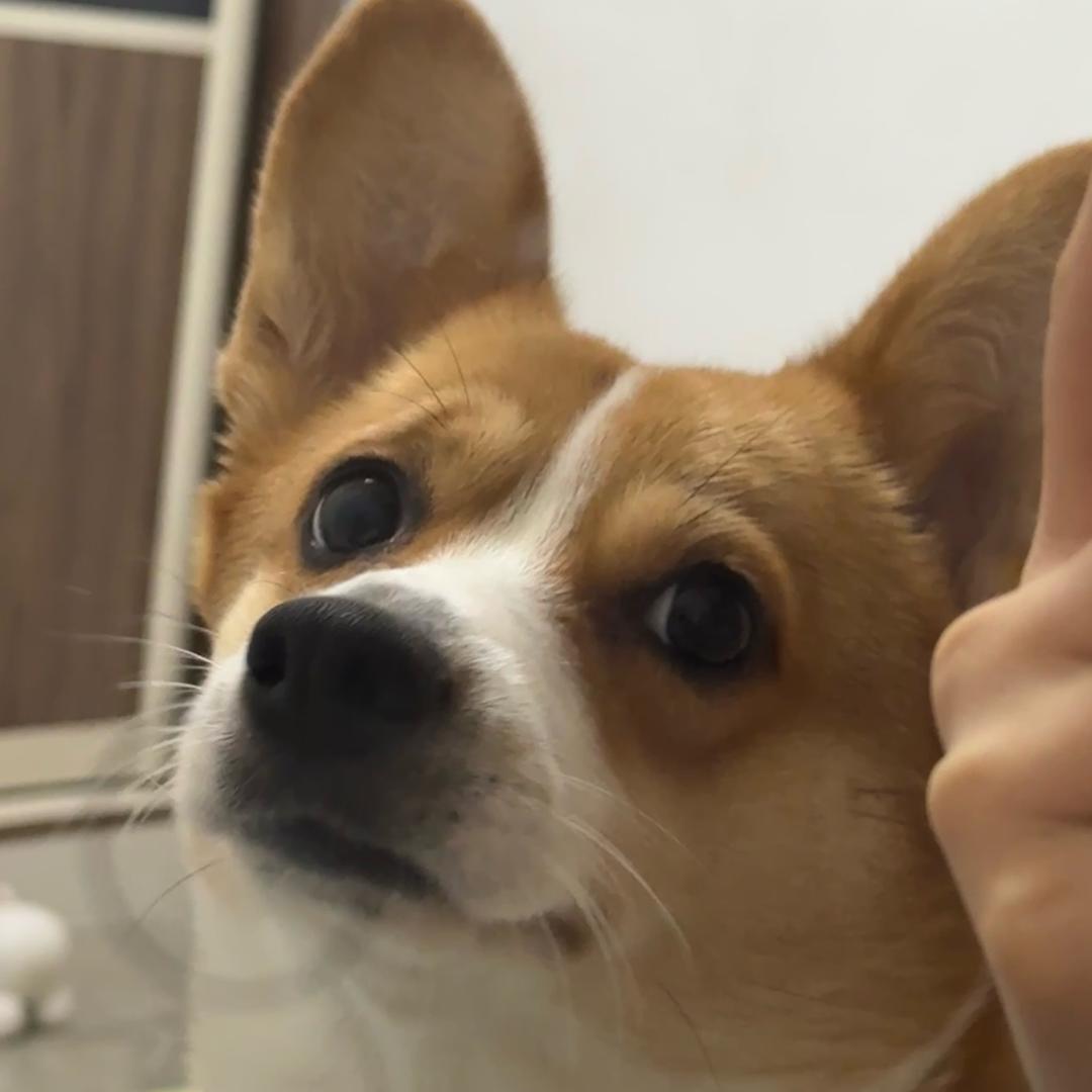 乐乐居