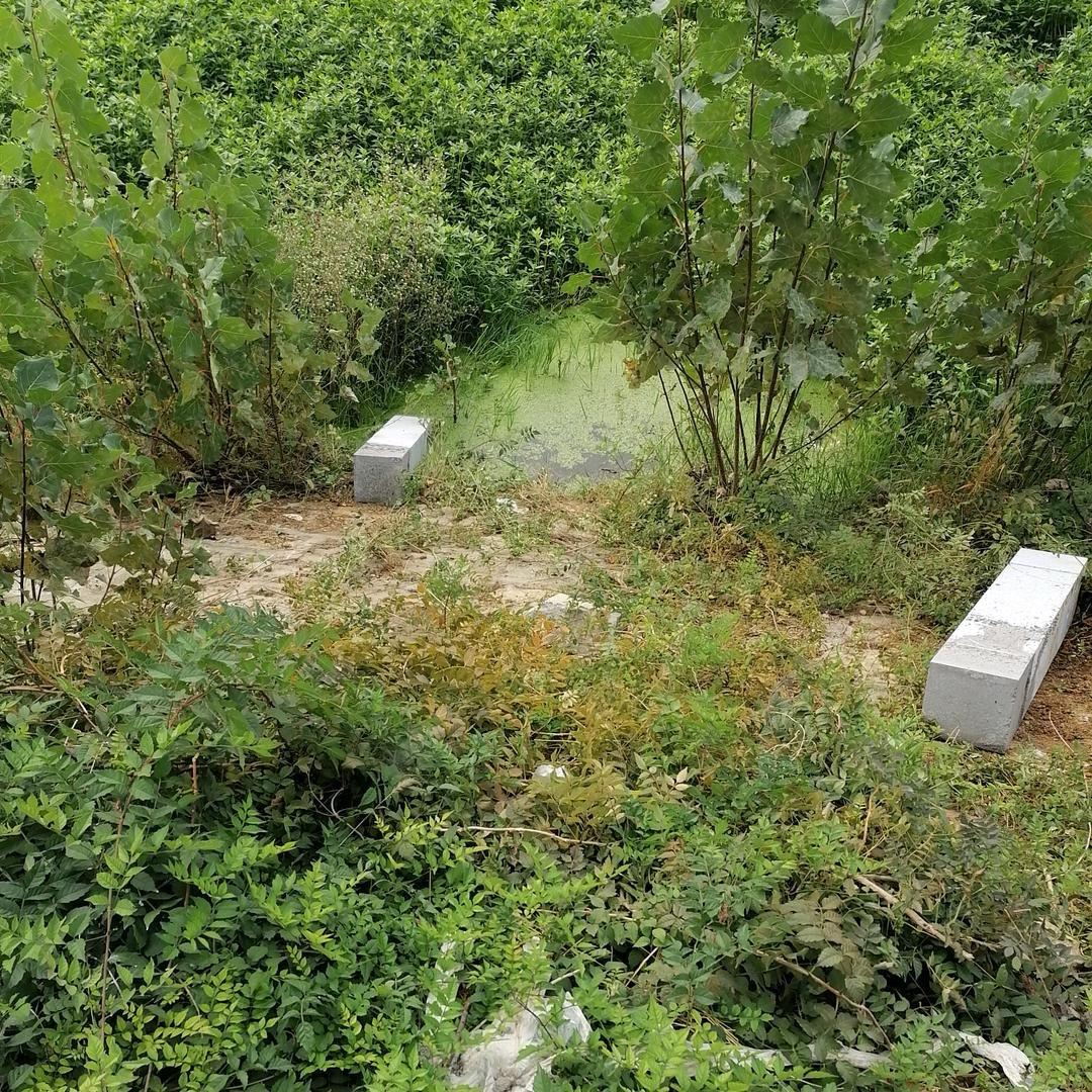 大脑门儿