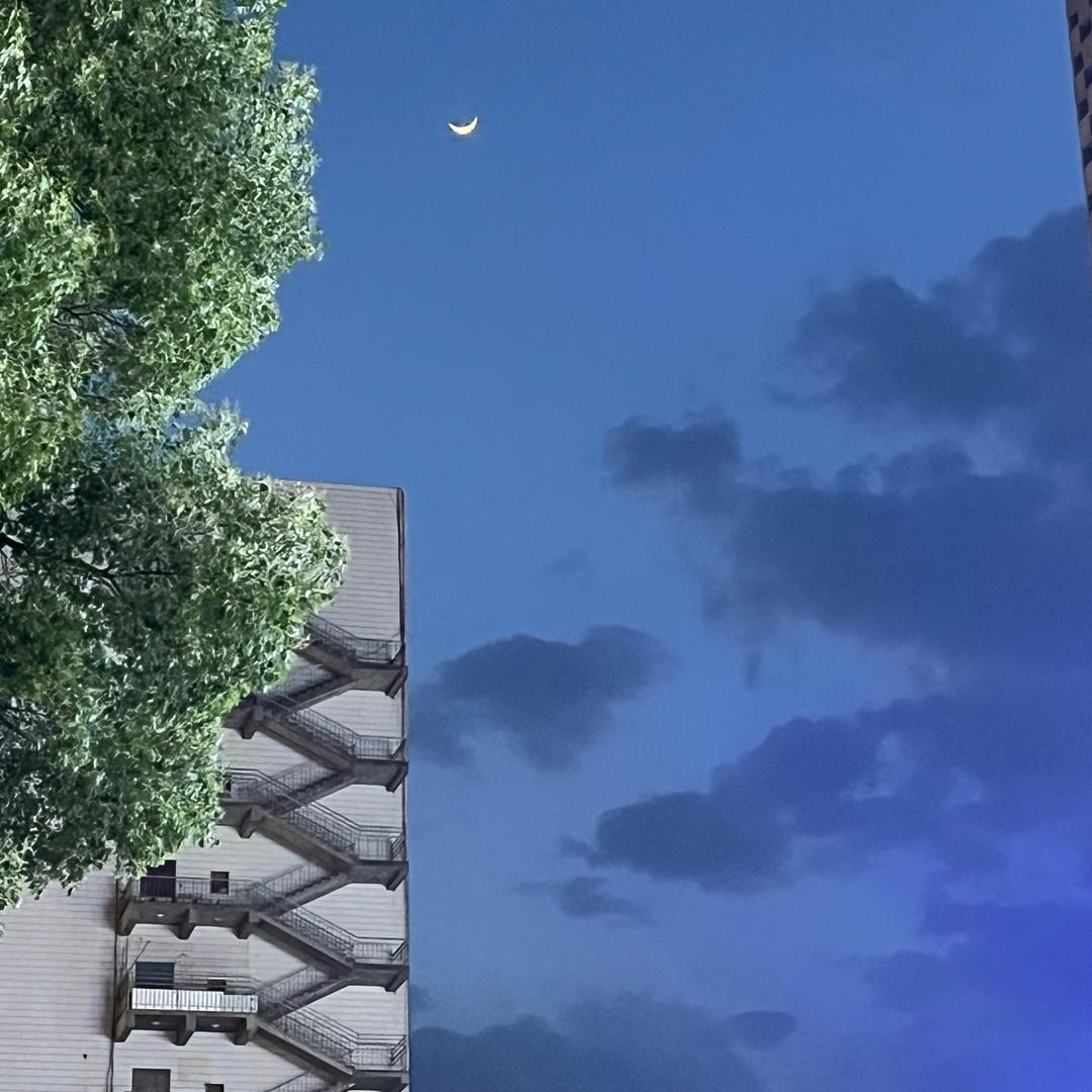 华公子