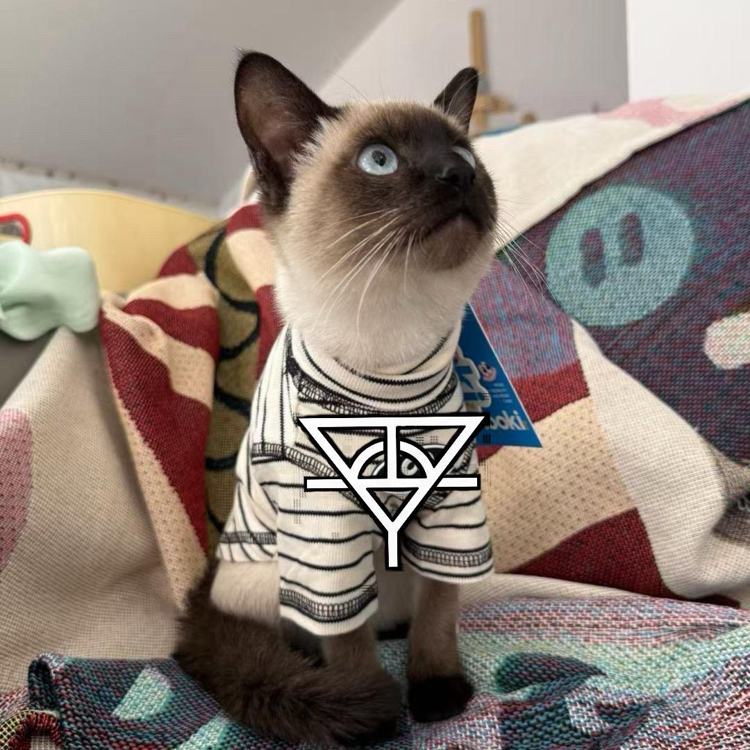 鸫yu不会唱（涨粉版）