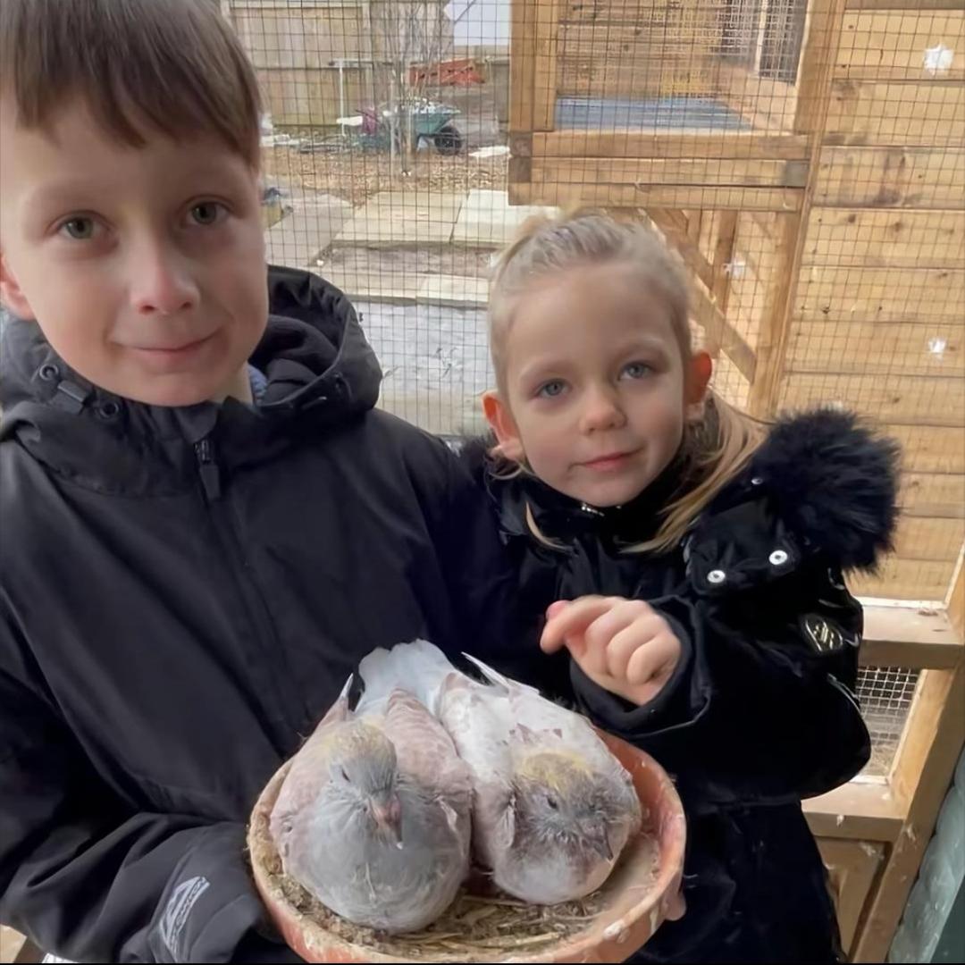 ᝰꫛ 孤岛 ꫀꪝ