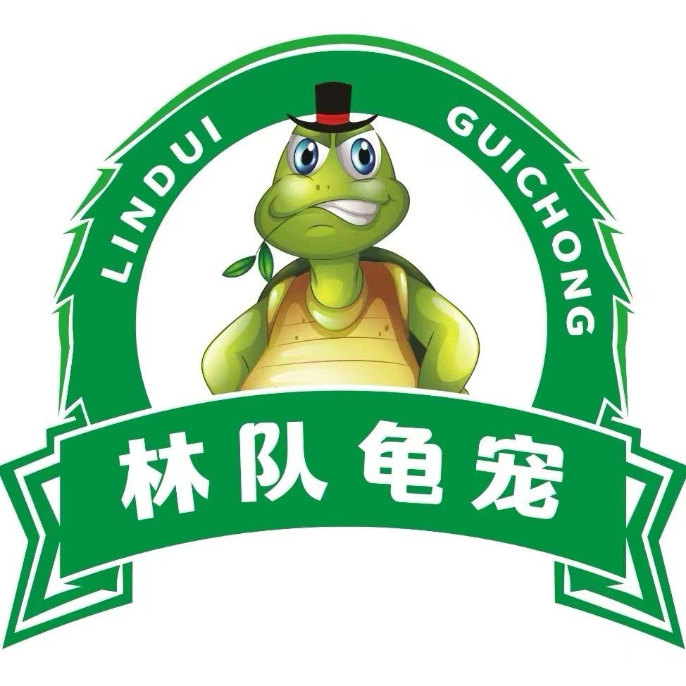 林队龟宠